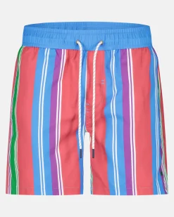 Gestreepte Zwembroek Heren Zwemkleding
