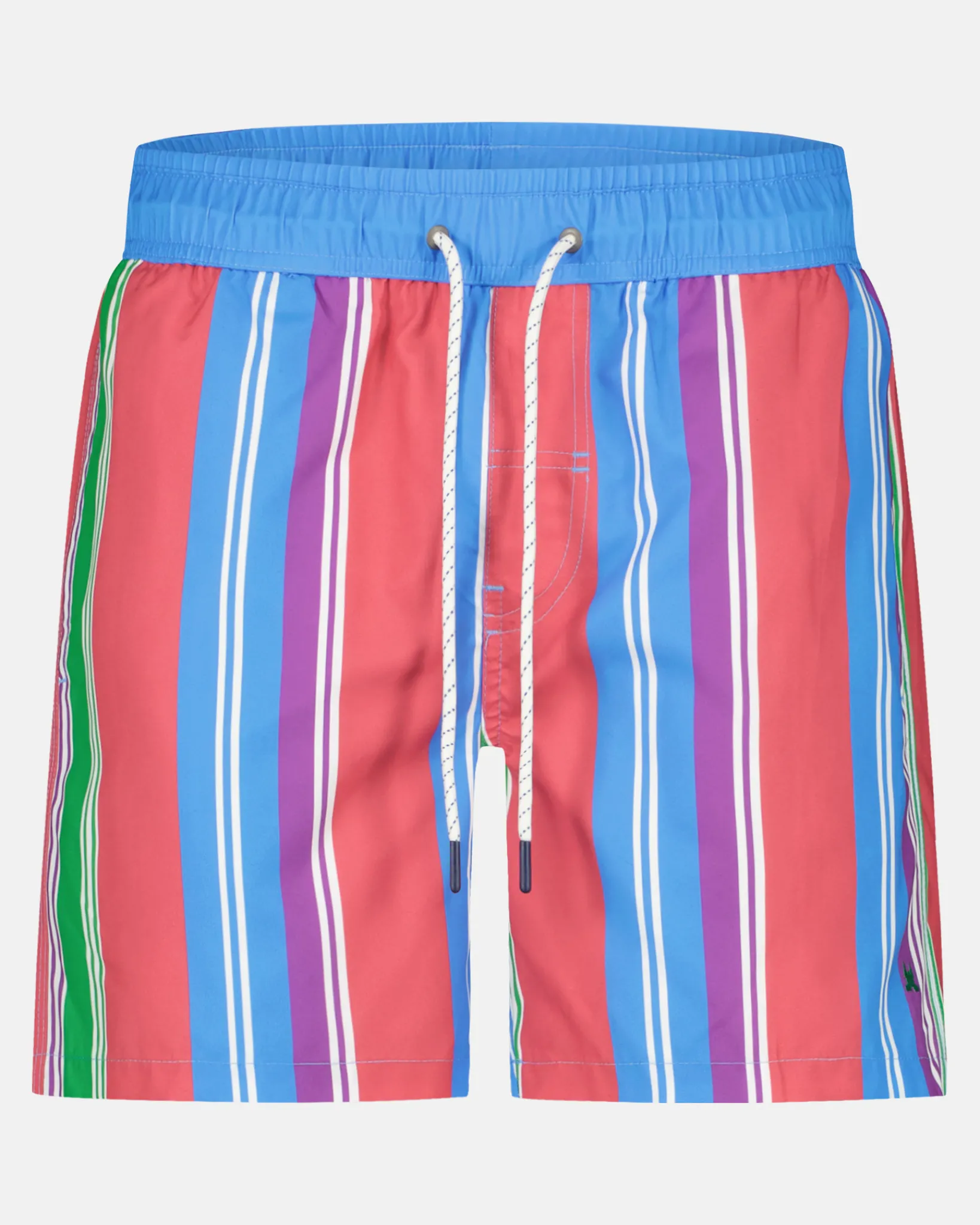 Gestreepte Zwembroek Heren Zwemkleding