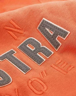 Klassieke Arcticfairtradehoody Heren Truien En Sweaters