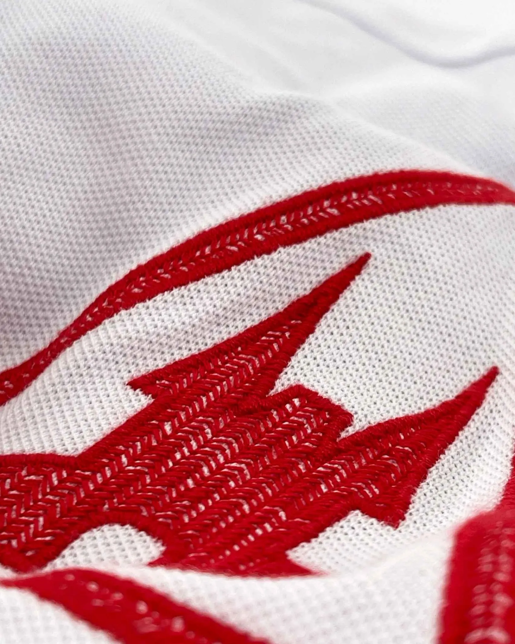 Online Rugby Polo Wicked Heren Polo'S En T-Shirts